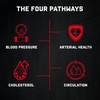 image:imageJocko Cardiovascular Support