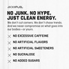 image:imageJocko Fuel GO Energy Drinks Sour Apple  95mg Caffeine with Added Adaptogens Vitamin B12 amp B6 amp L Theanine for Mood amp Focus Support No Sugar 12 Pack  Packaging May VaryCoconutPineapple