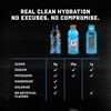 image:imageJocko Fuel Hydrate Electrolyte Drinks  Sports Drink Hydration Amplifier Thirst Quencher  Scientifically Formulated Electrolyte Blend LemonLime 16 Oz 12 PackOrange