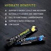 image:imageJocko Fuel Hydrate Electrolytes Powder Packets Bundle Lemon Lime and Blue Raspberry  Hydration Amplifier Packets for Recovery Dehydration amp Exercise  with Vitamins B6 B12 amp C 32 Packets
